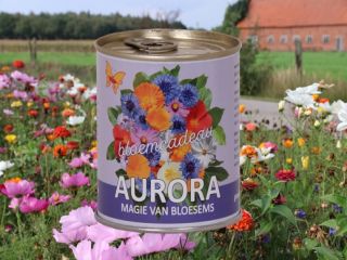 Aurora bloemcadeau